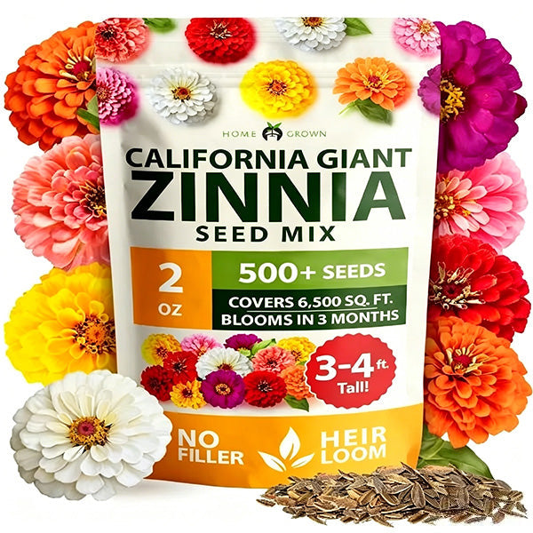 Zinnia Flower Seeds for Planting