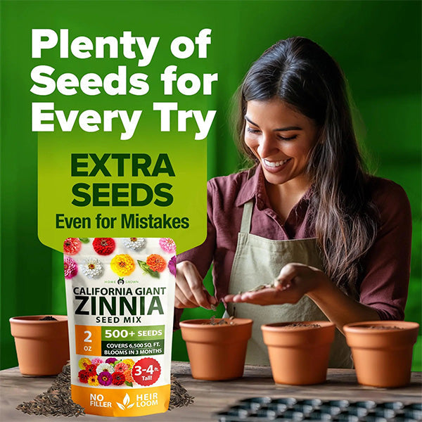 Zinnia Flower Seeds for Planting