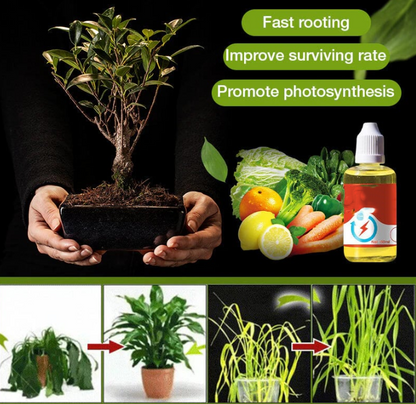 Natural Plant Growth Enhancer