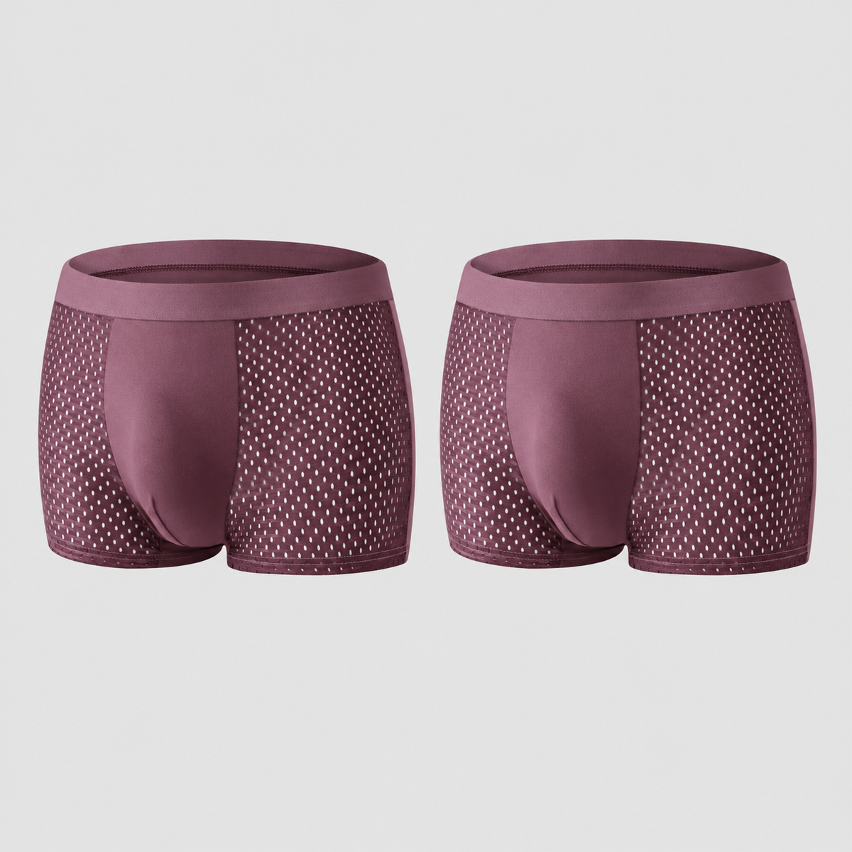 2026 HOT SALE🔥 Premium Leakproof lceSilk Mesh Men's Boxer
