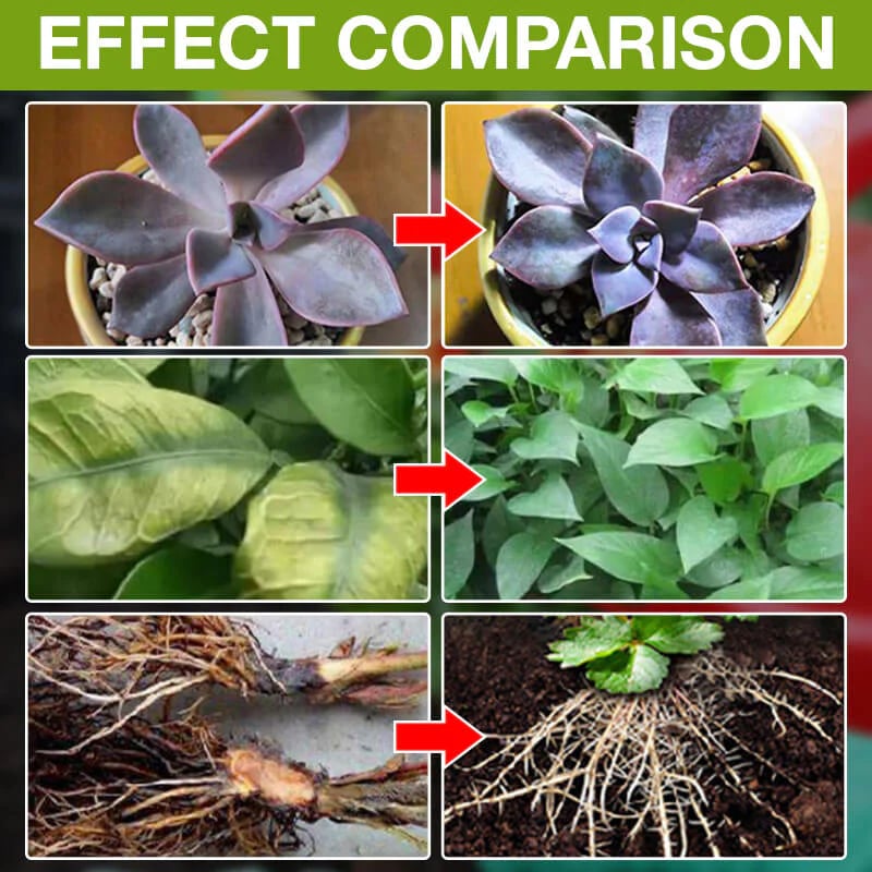 Natural Plant Growth Enhancer