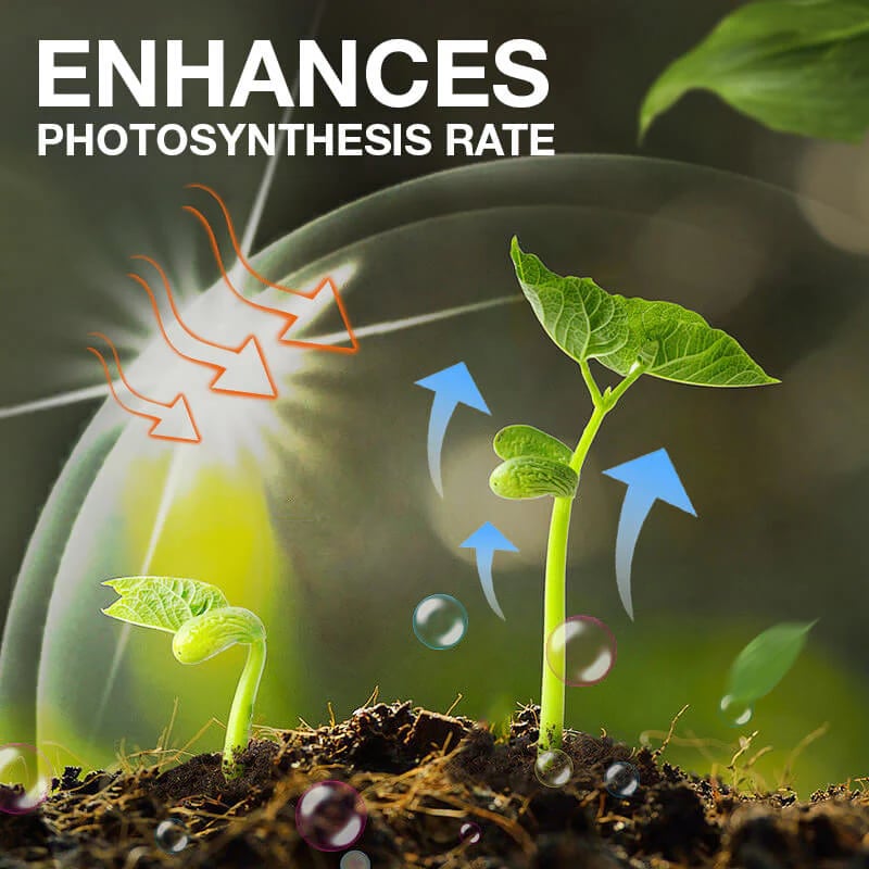 Natural Plant Growth Enhancer