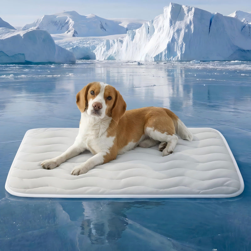 Summer Cooling Mat for Dogs with Portable Non Slip Design