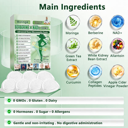 🧑‍⚕️ 10-in-1 Metabolic Support Microneedle Patch with Moringa, Berberine & AMPK Support