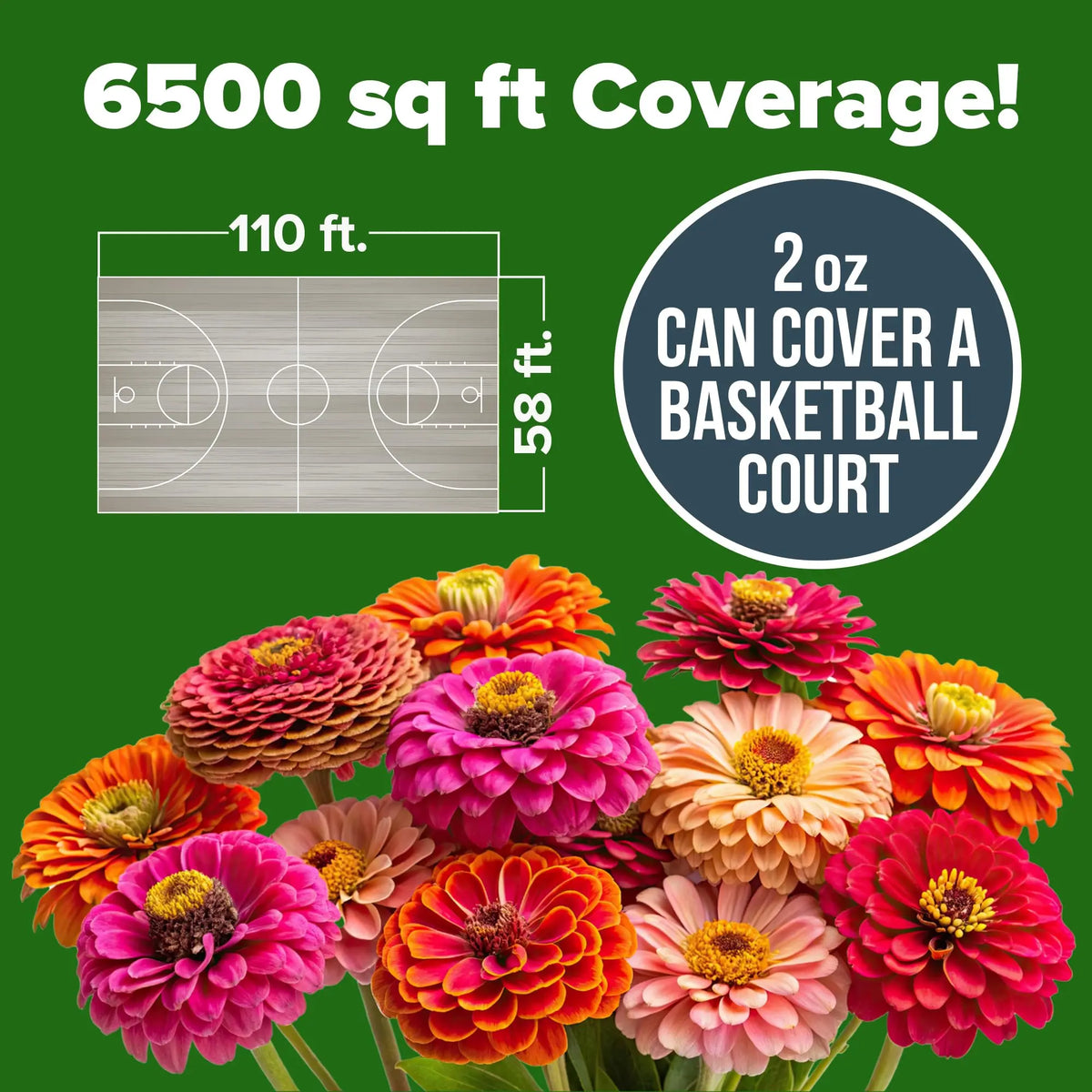 Zinnia Flower Seeds for Planting