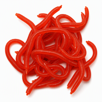 ⏳Limited-time BUY 1 GET 1 FREE⏰Simulation Earthworm Soft Fishing Lures🎣🪱