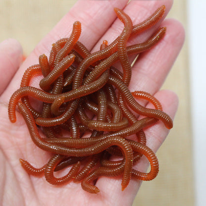 ⏳Limited-time BUY 1 GET 1 FREE⏰Simulation Earthworm Soft Fishing Lures🎣🪱